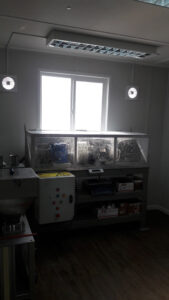 Lee más sobre el artículo Laboratorio FTL